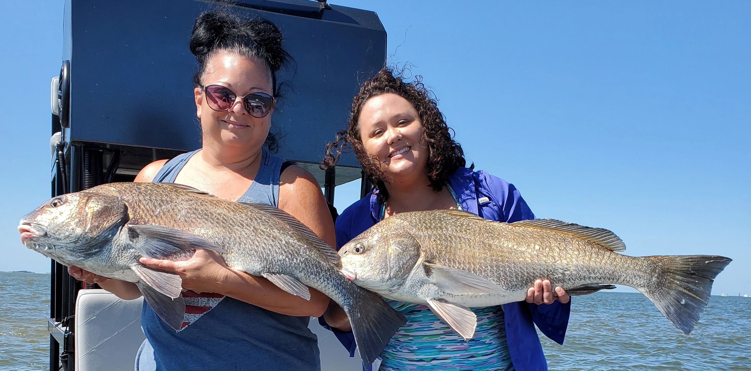 Huge Black Drum Yankeetown, Florida